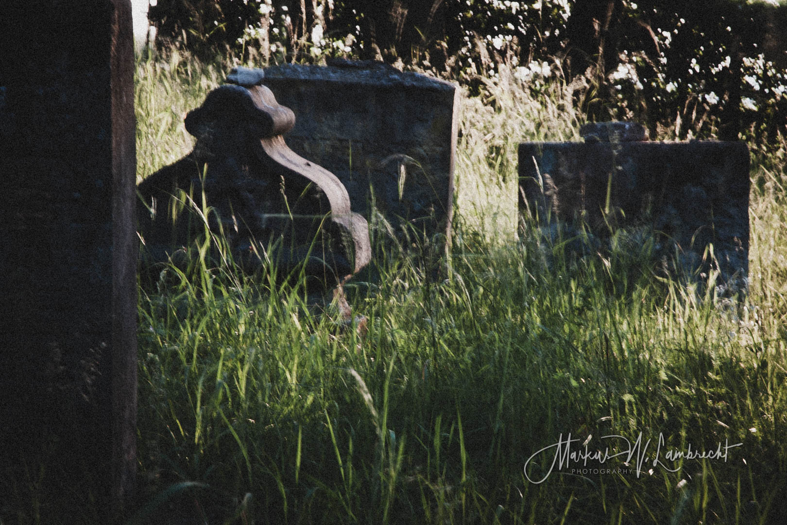 Wettesingen, Jüdischer Friedhof